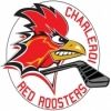 Charleroi Red Roosters