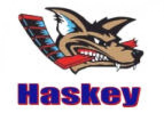 BESTUURSVERANDERINGEN BIJ HASKEY HASSELT
